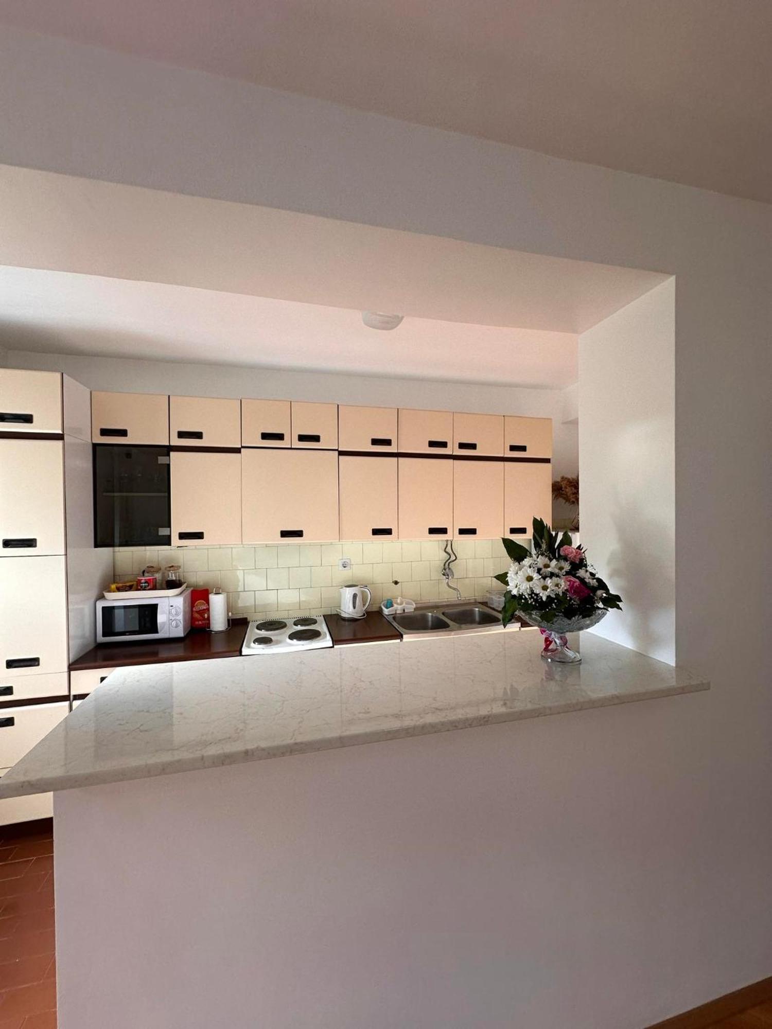 Viktor Apartment Kumanovo Exteriér fotografie